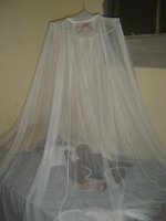 Eliel, sleeping under the mosquito net
