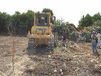 Clearing Old fences to Unifying the land
