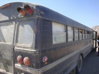 Bus to carry the cargo