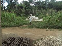 A village lady Suzette coming to Church