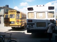 The buses arrive on campus