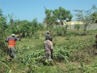 Clearing the ground for the transitional building