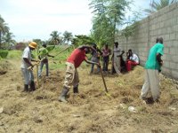 Cleaning of the Church property continues