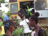 Youth are in the process of planting trees