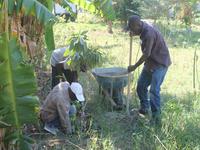 Last Trees Planted for the Year