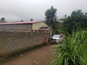 lw-news-260417-9-400